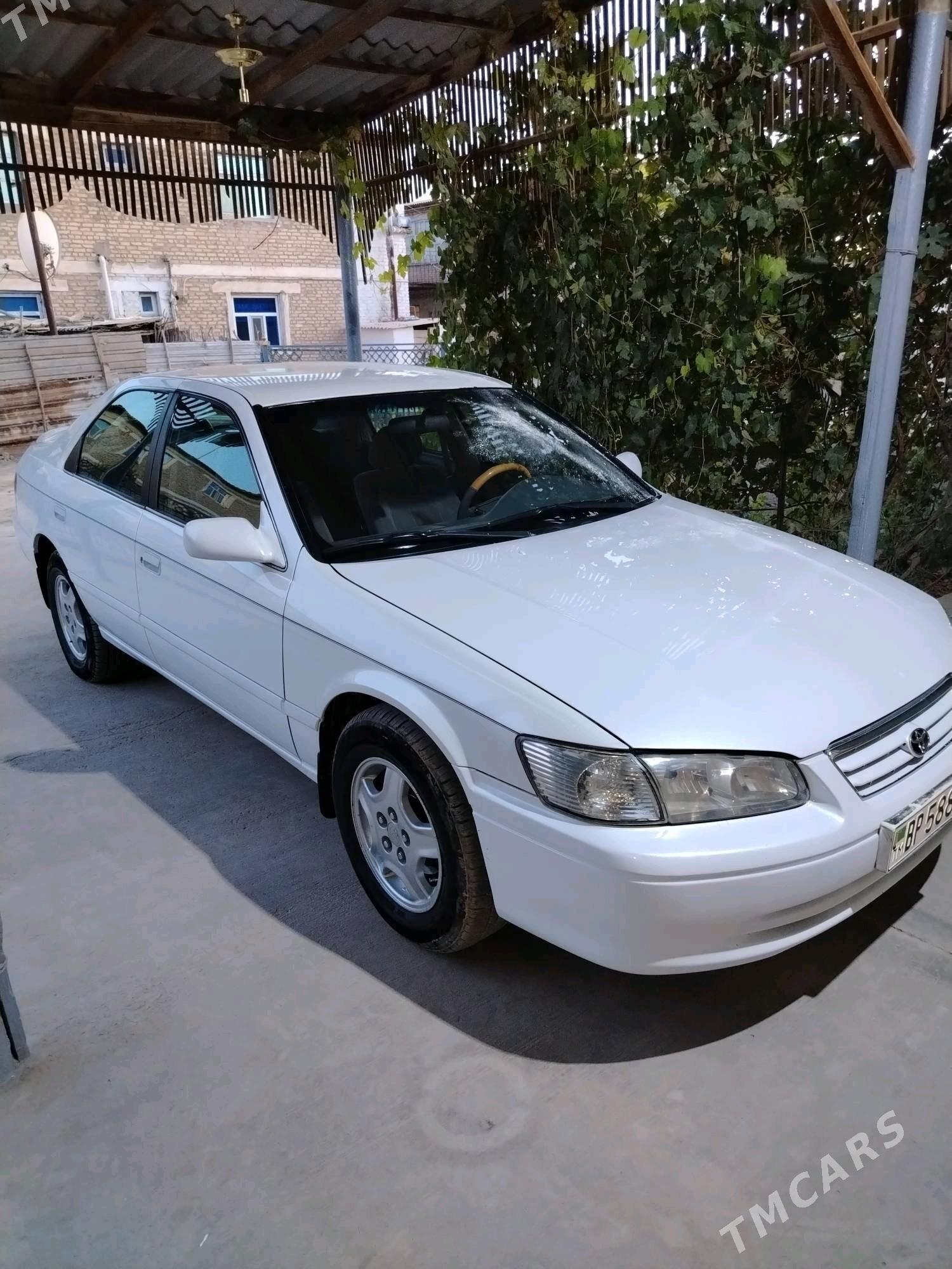 Toyota Camry 2000 - 125 000 TMT - Гурбансолтан Едже - img 2