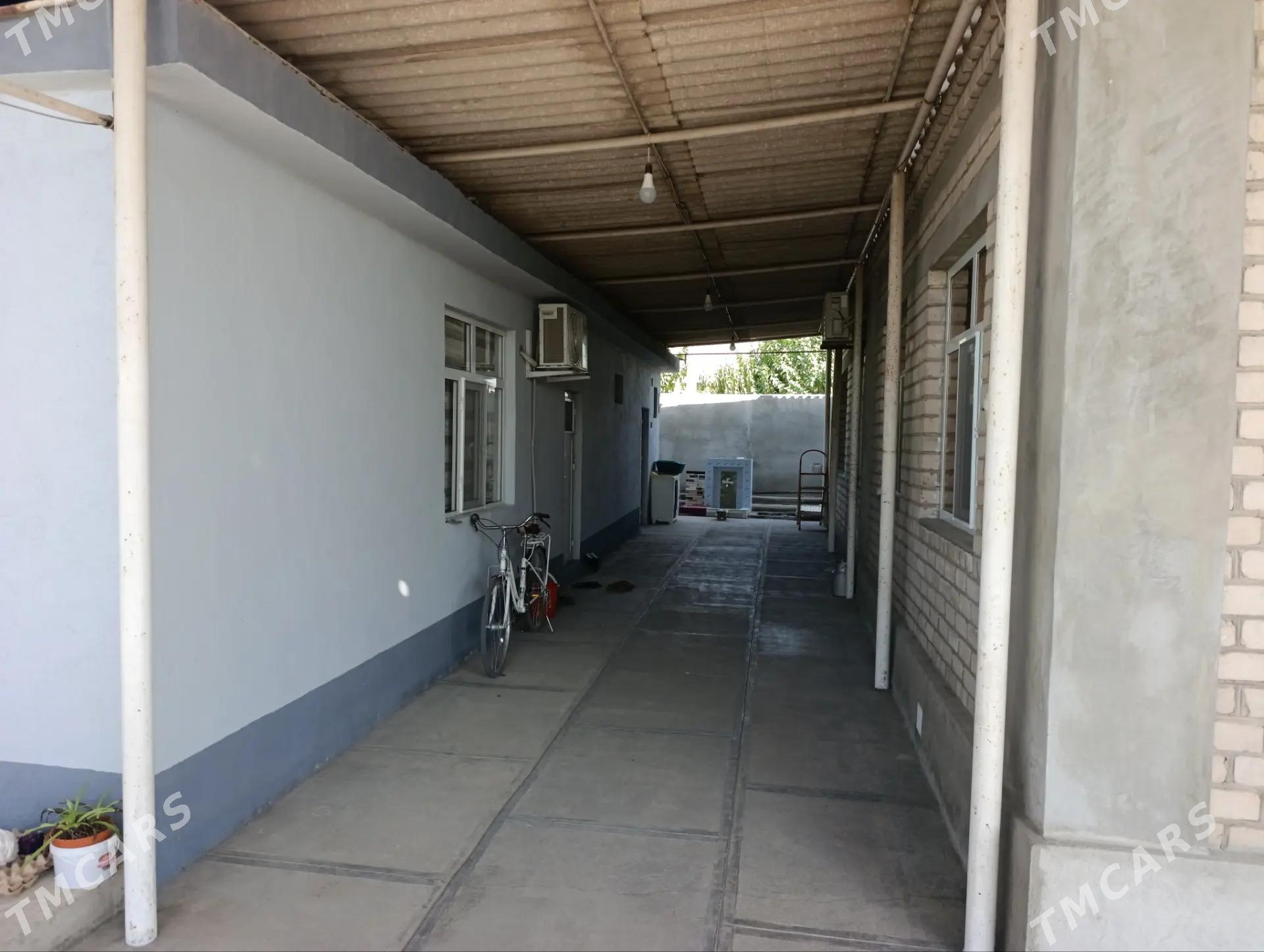 Buzmeyin garadaşaýak - Büzmeýin - img 6