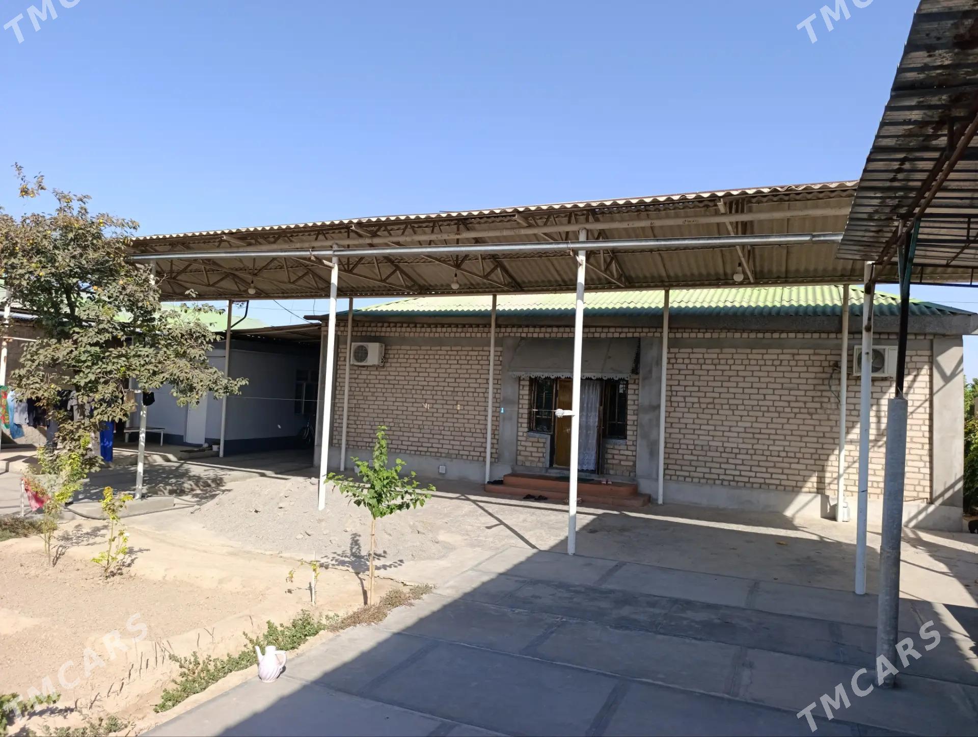 Buzmeyin garadaşaýak - Büzmeýin - img 7