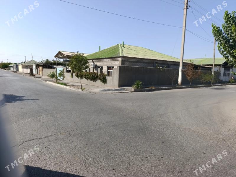 Buzmeyin garadaşaýak - Büzmeýin - img 8