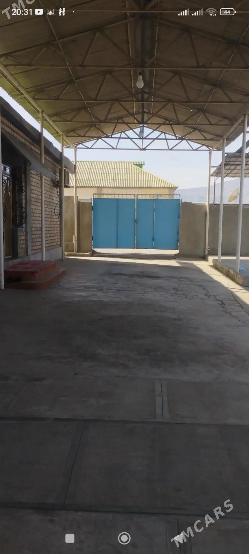 Buzmeyin garadaşaýak - Büzmeýin - img 3