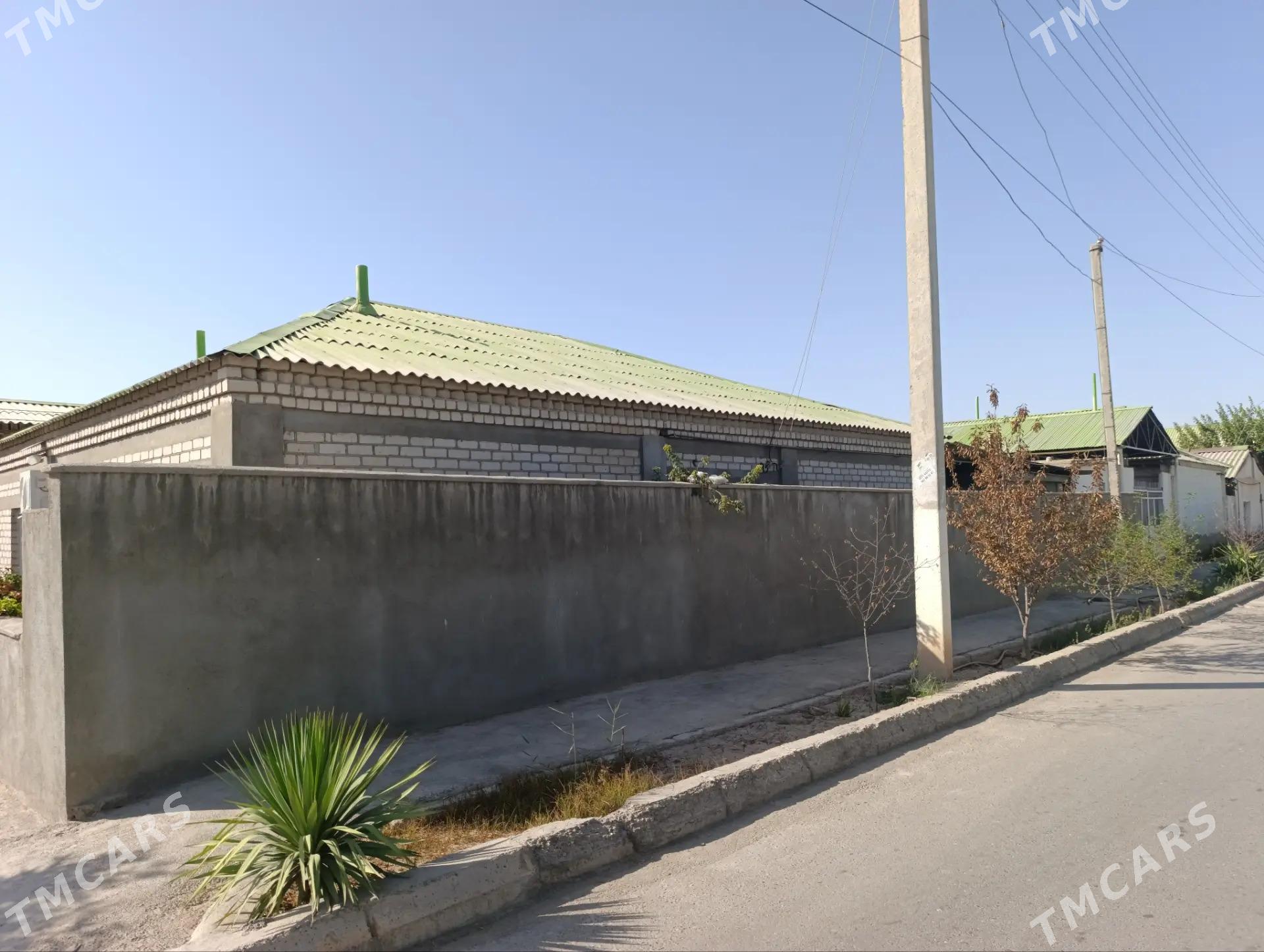 Buzmeyin garadaşaýak - Büzmeýin - img 2