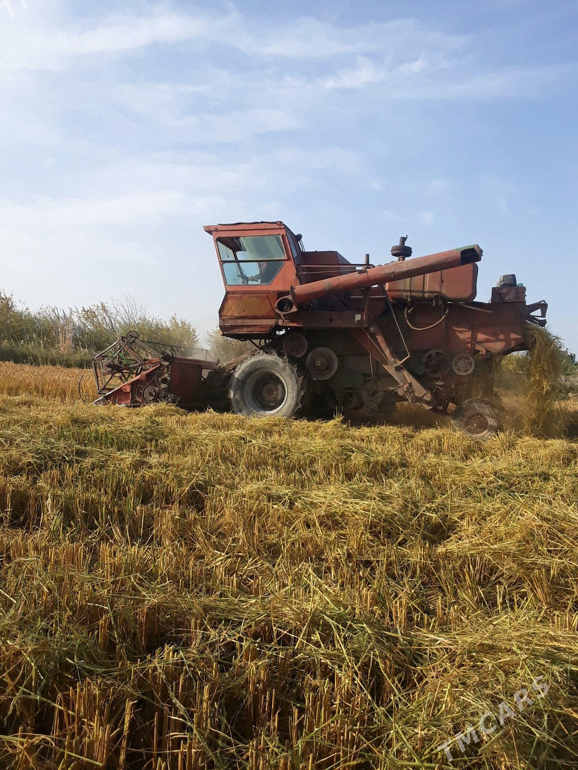 MTZ 80 1993 - 140 000 TMT - Гурбансолтан Едже - img 3