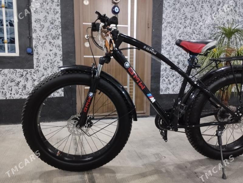 Tigir - Büzmeýin - img 1