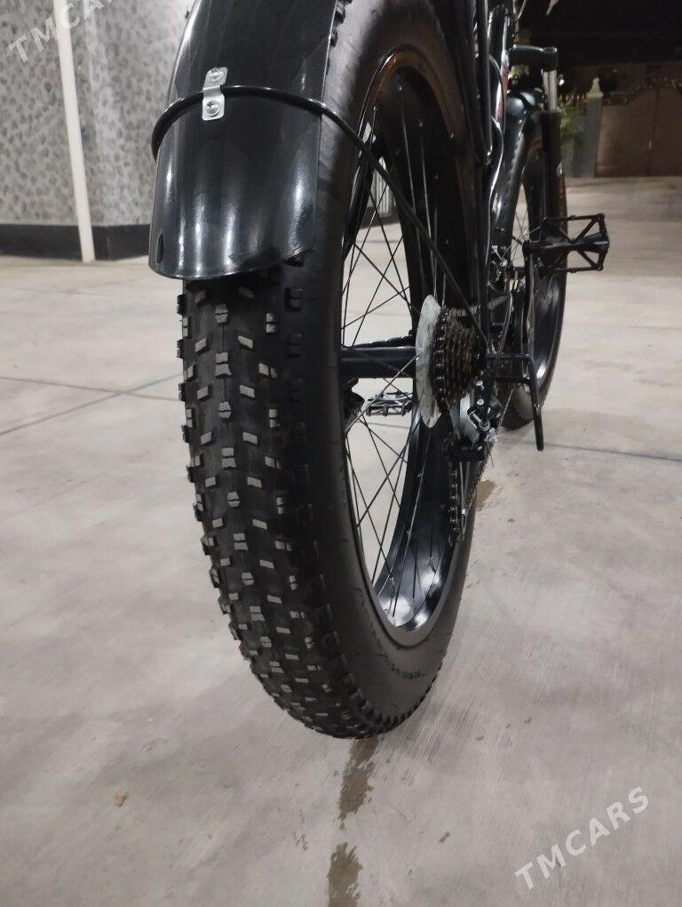 Tigir - Büzmeýin - img 3