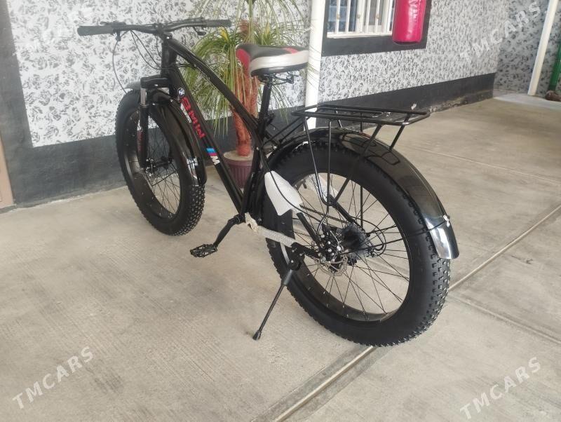 Tigir - Büzmeýin - img 2