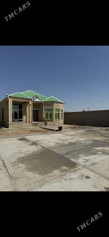 Kaka jay - Кака - img 7