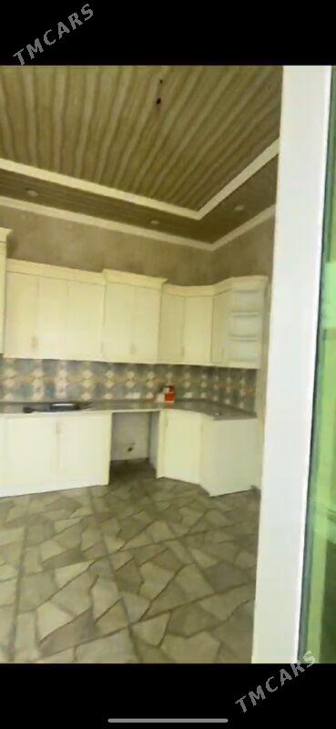 Kaka jay - Кака - img 3