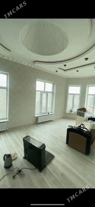 Kaka jay - Кака - img 2