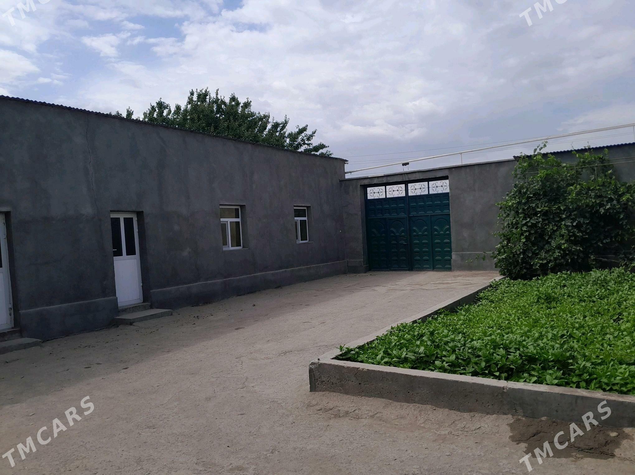 satlyk jay - Кёнеургенч - img 3