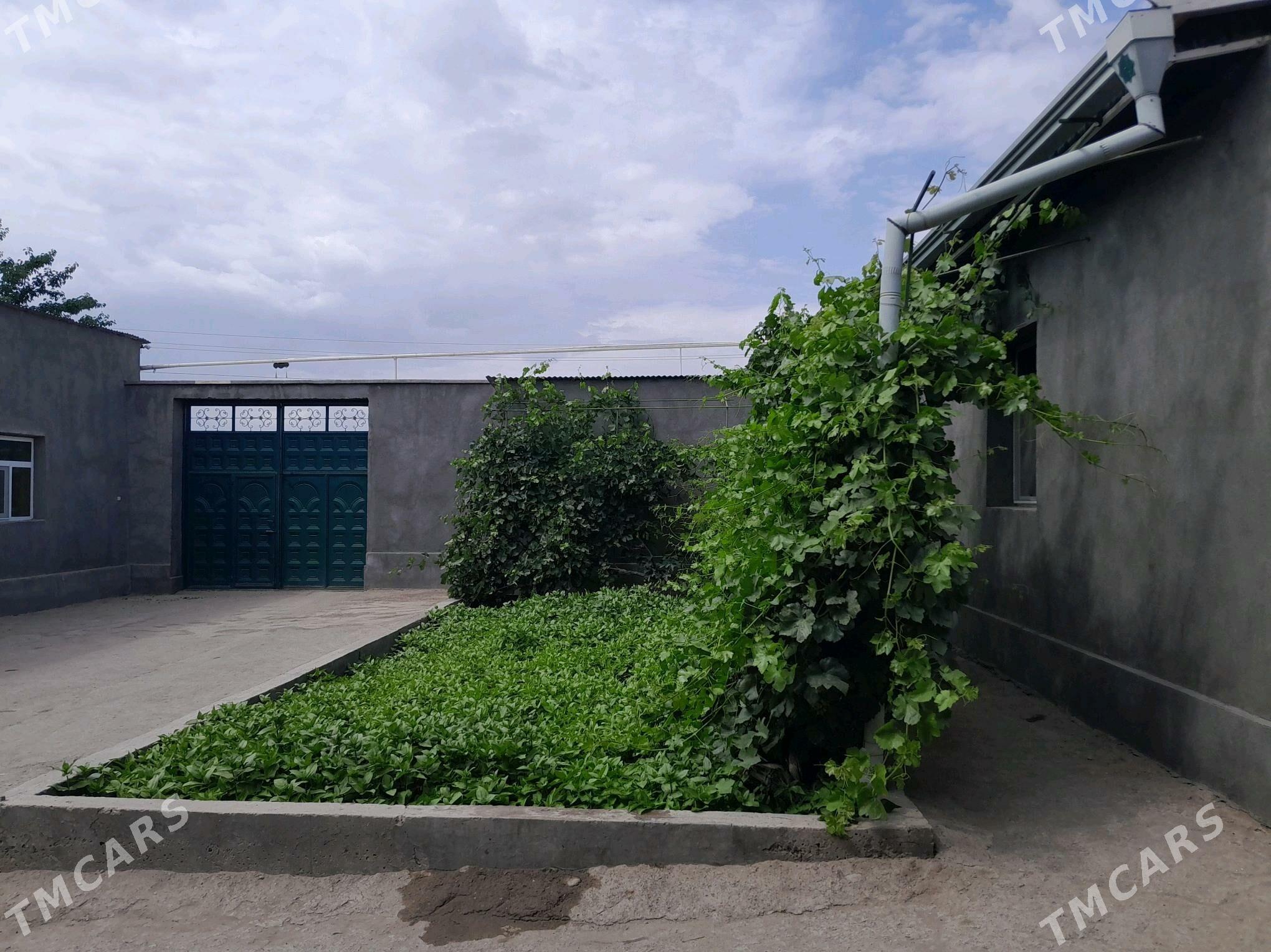 satlyk jay - Кёнеургенч - img 5