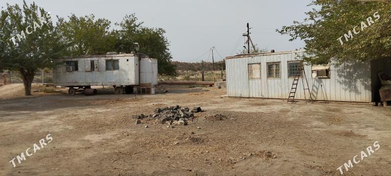 ере партнёр герек - Bäherden - img 7