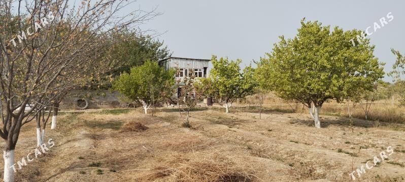 ере партнёр герек - Bäherden - img 2