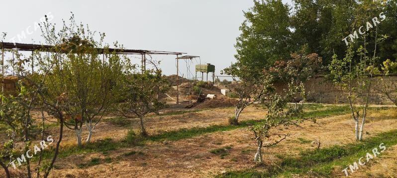 ере партнёр герек - Bäherden - img 3