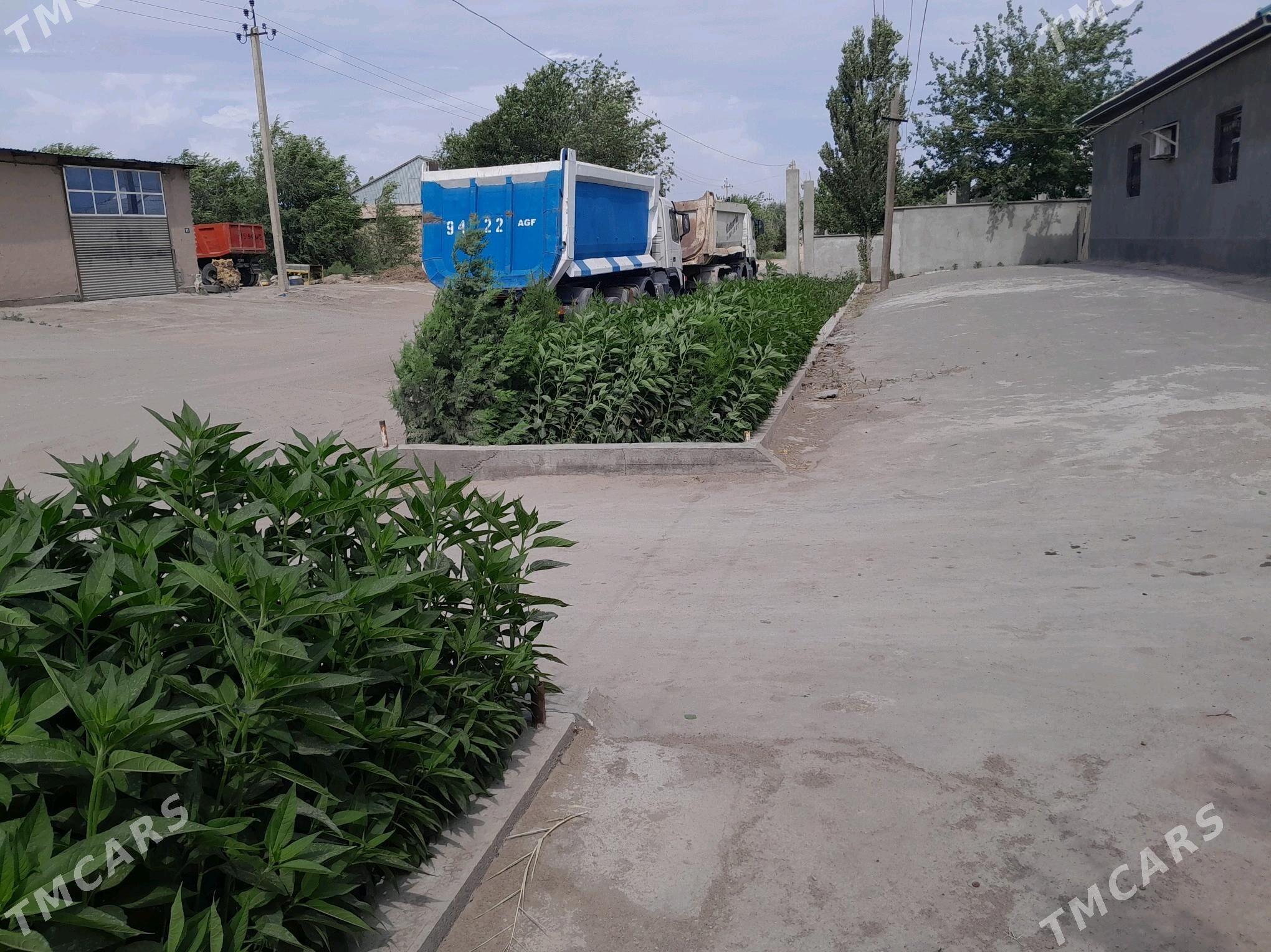 satlyk jay - Кёнеургенч - img 7