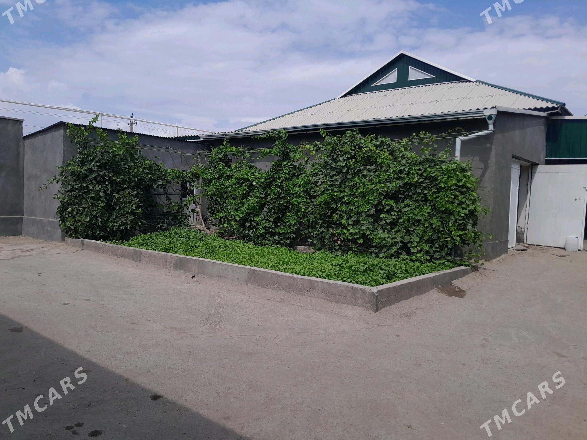 satlyk jay - Кёнеургенч - img 10