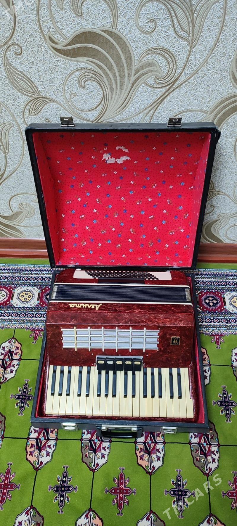 Akkordeon akardeon akardiýon - Murgap - img 3