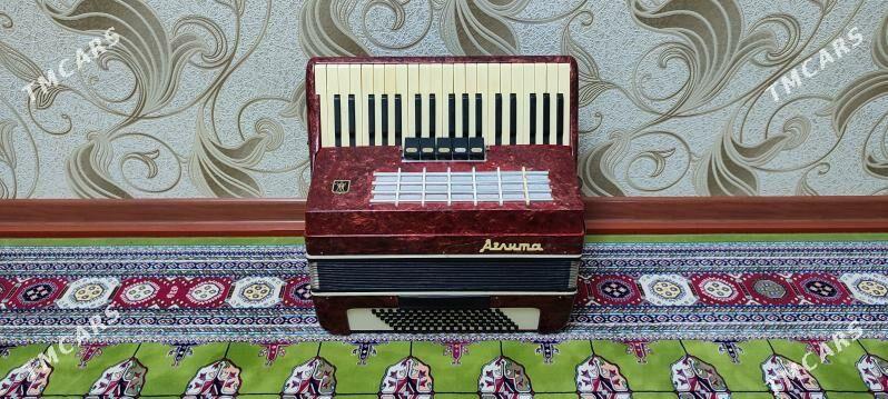 Akkordeon akardeon akardiýon - Murgap - img 4