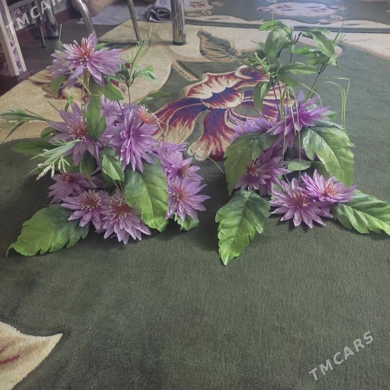 Gül  - Balkanabat - img 1