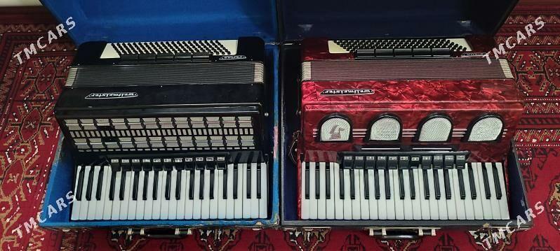 Akkordeon akordeon akardiyon - Murgap - img 2