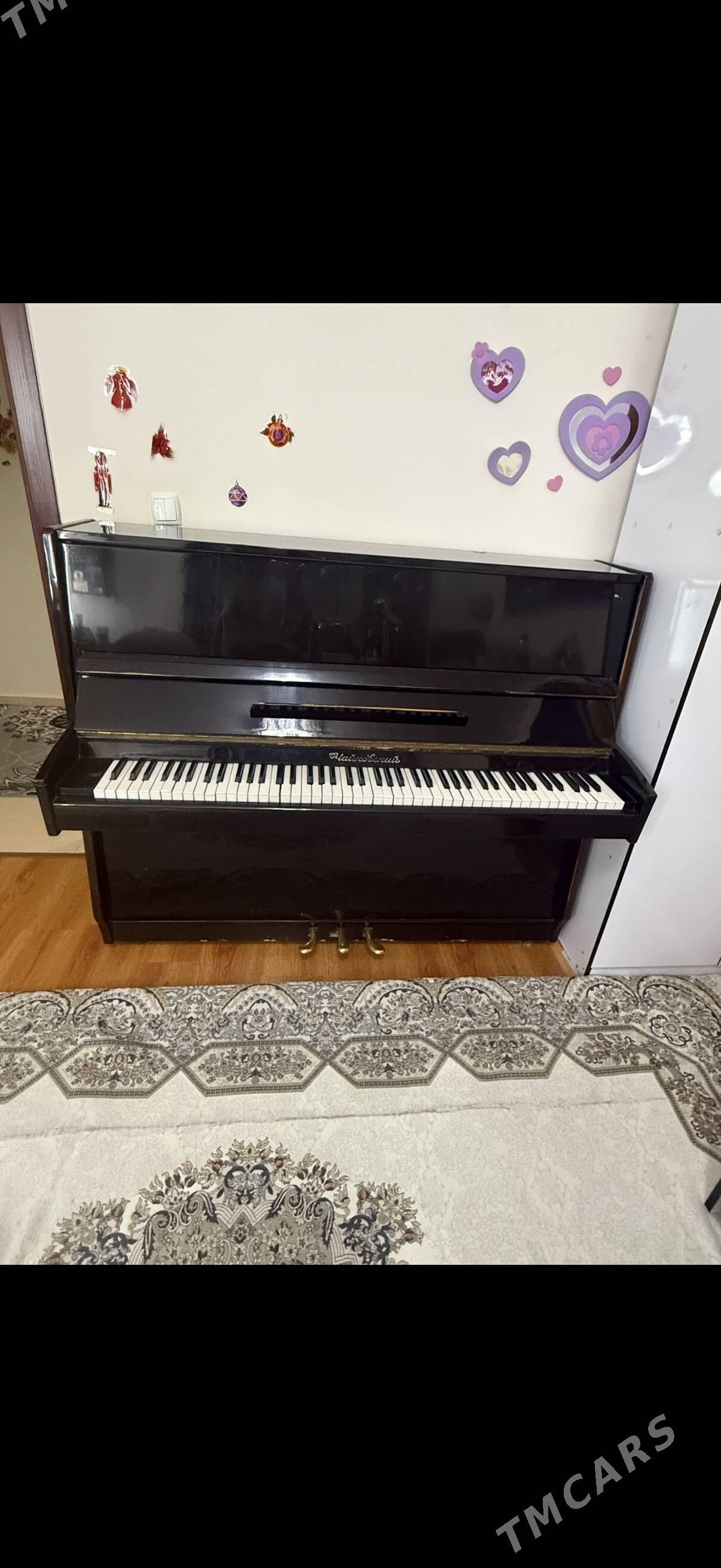 piÿanino - Gyzylarbat - img 2