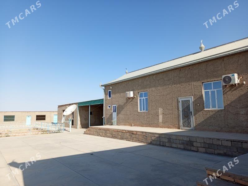 Sarahs satlyk jaý - Серахс - img 4