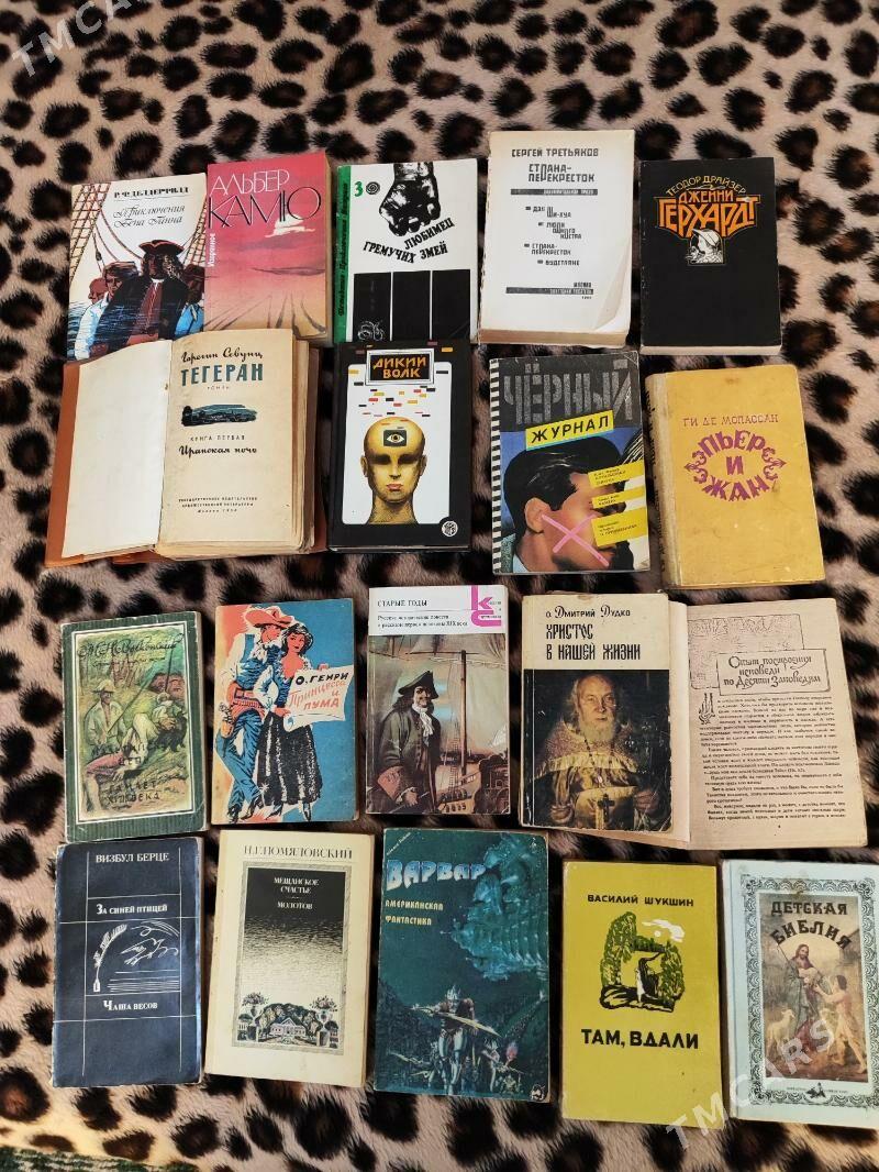 Книги - Türkmenbaşy - img 8