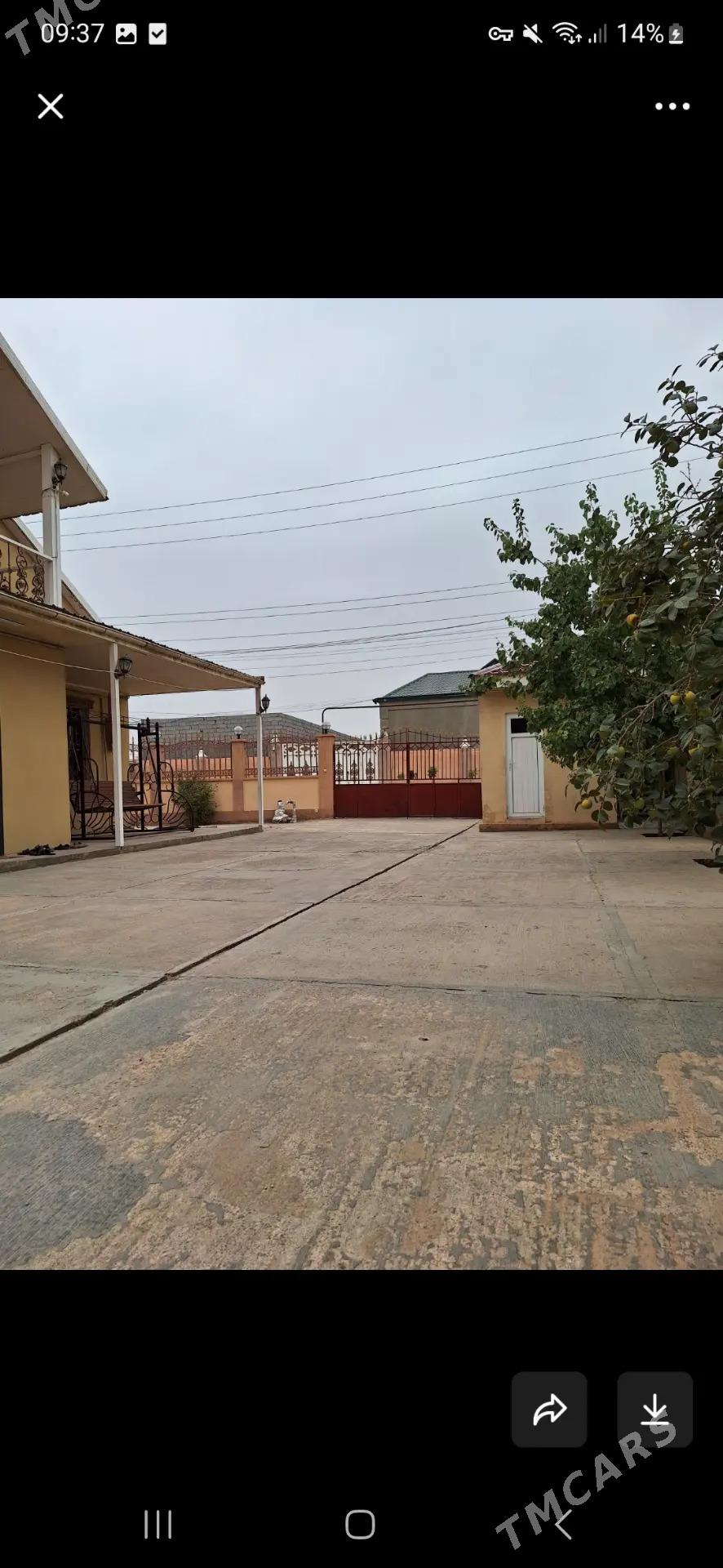 Satylyar - Ашхабад - img 6