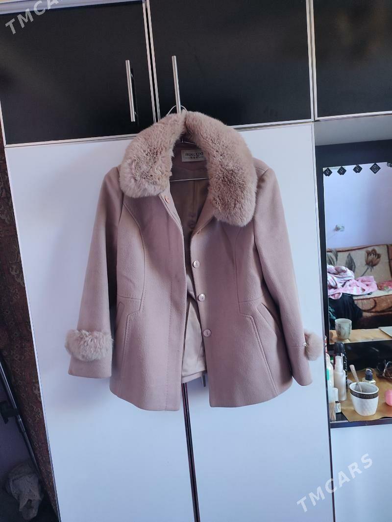 polto - Daşoguz - img 3