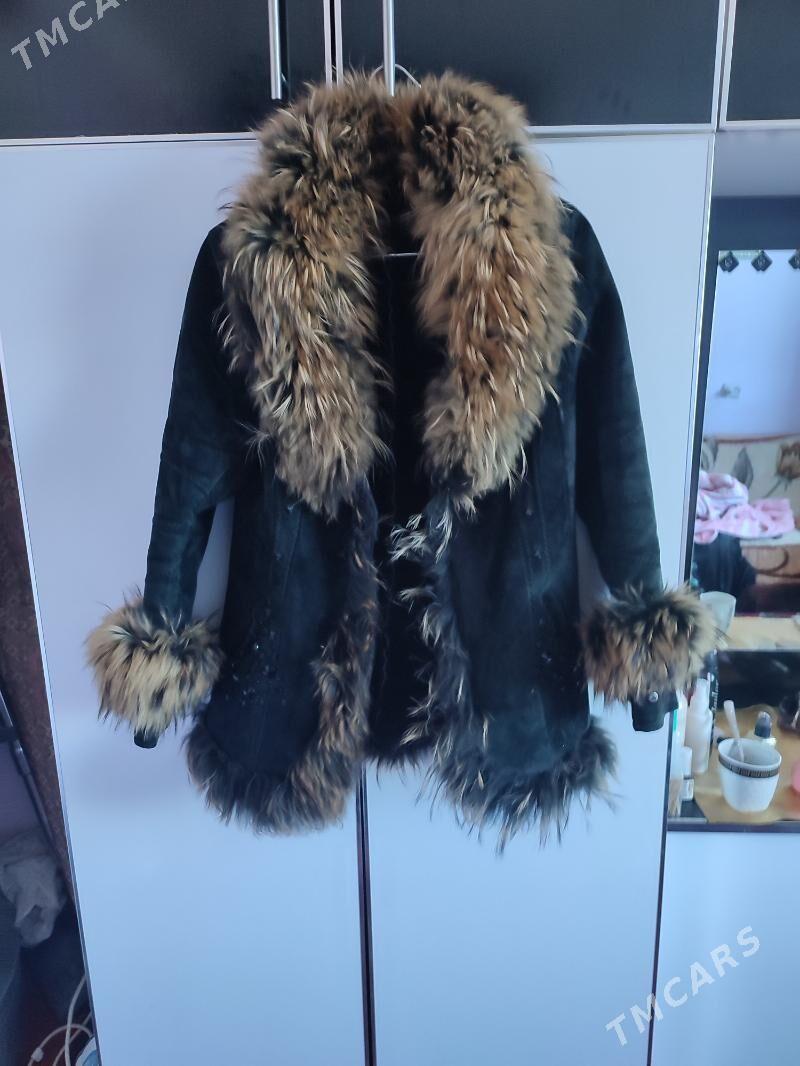 polto - Daşoguz - img 4