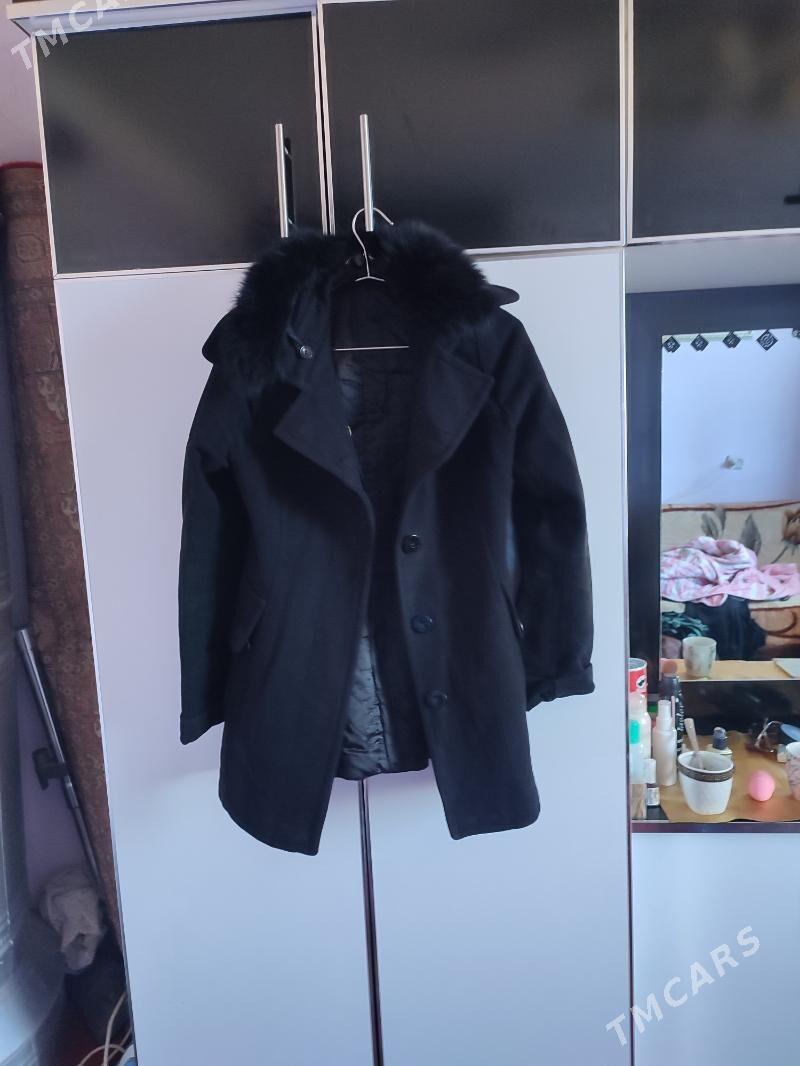 polto - Daşoguz - img 2