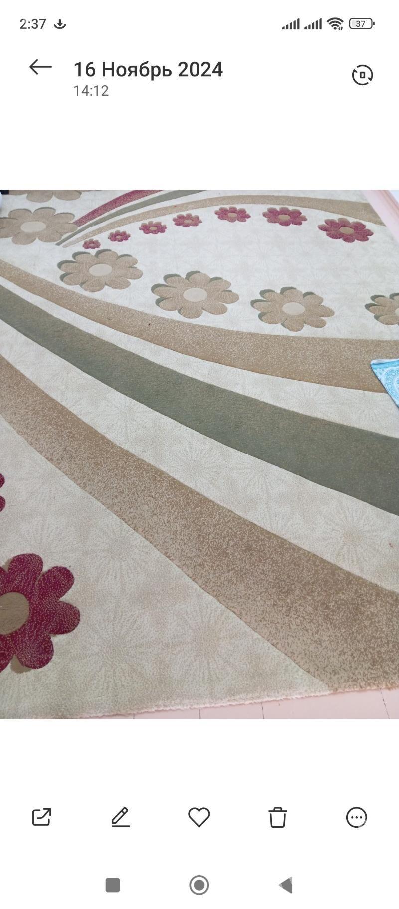 haly - Daşoguz - img 1