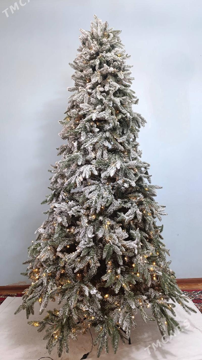 Yolka 2.40 - Gyzylarbat - img 1