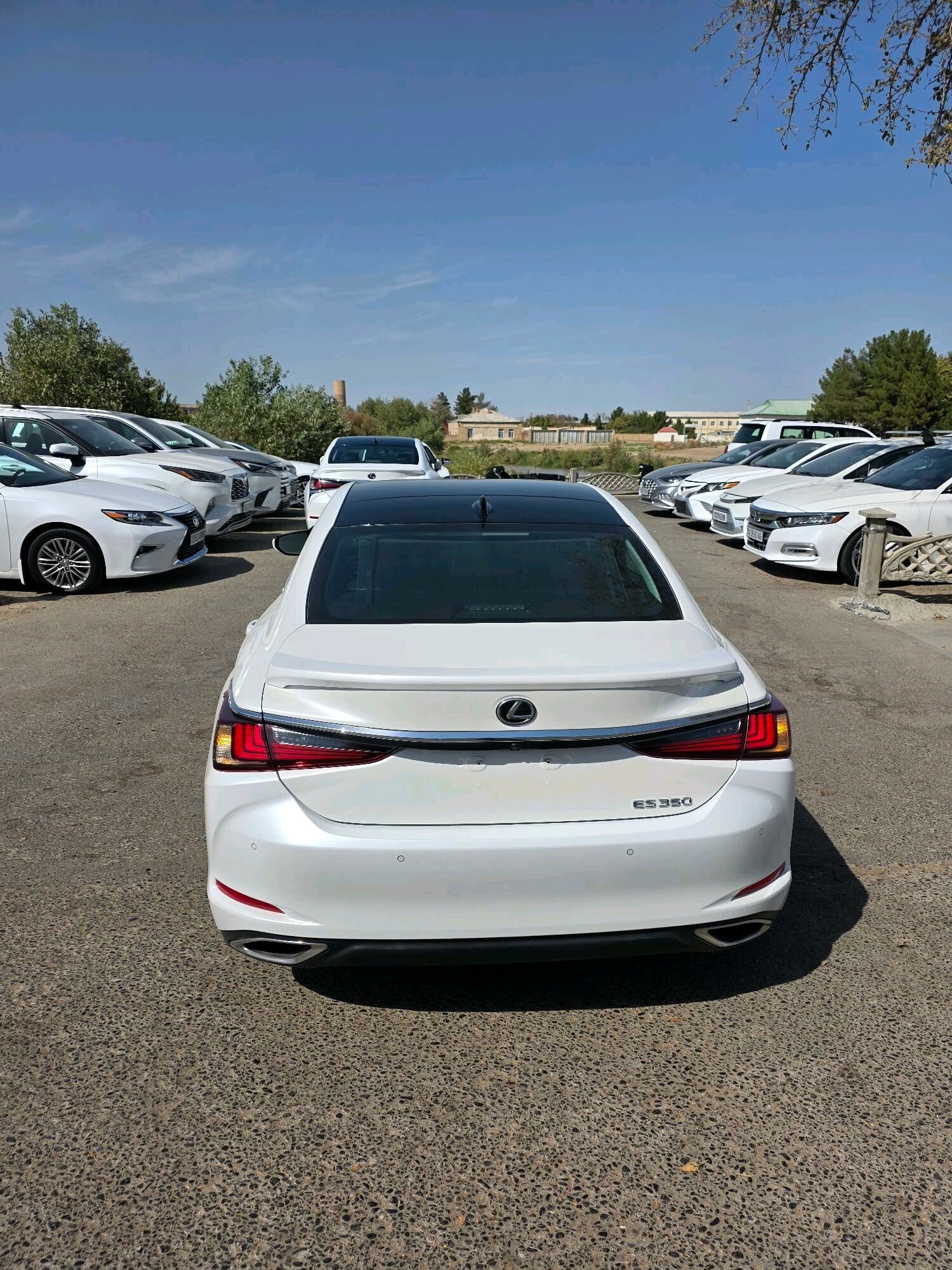 Lexus ES 350 2023 - 600 000 TMT - Mary - img 5