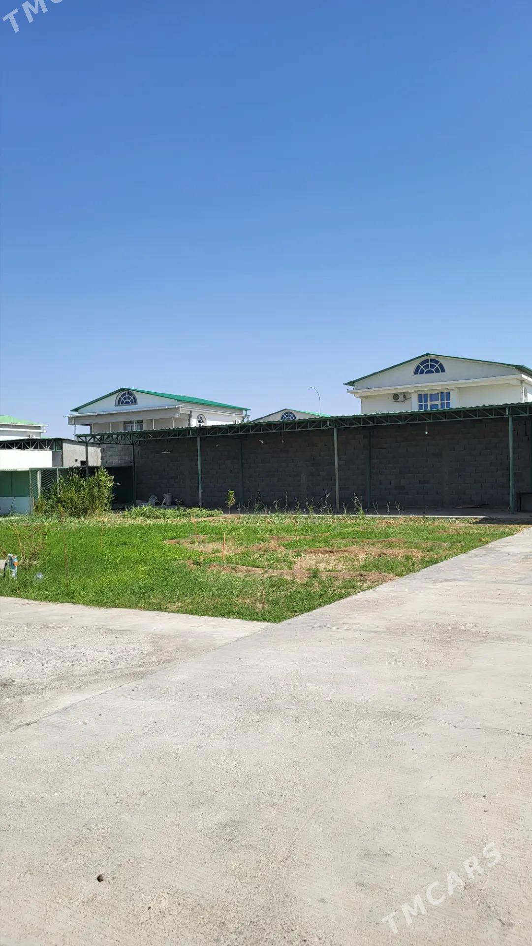 SATLYK JAÝ KOTEDJ TÄZE ZAMAN - Täze zaman - img 6