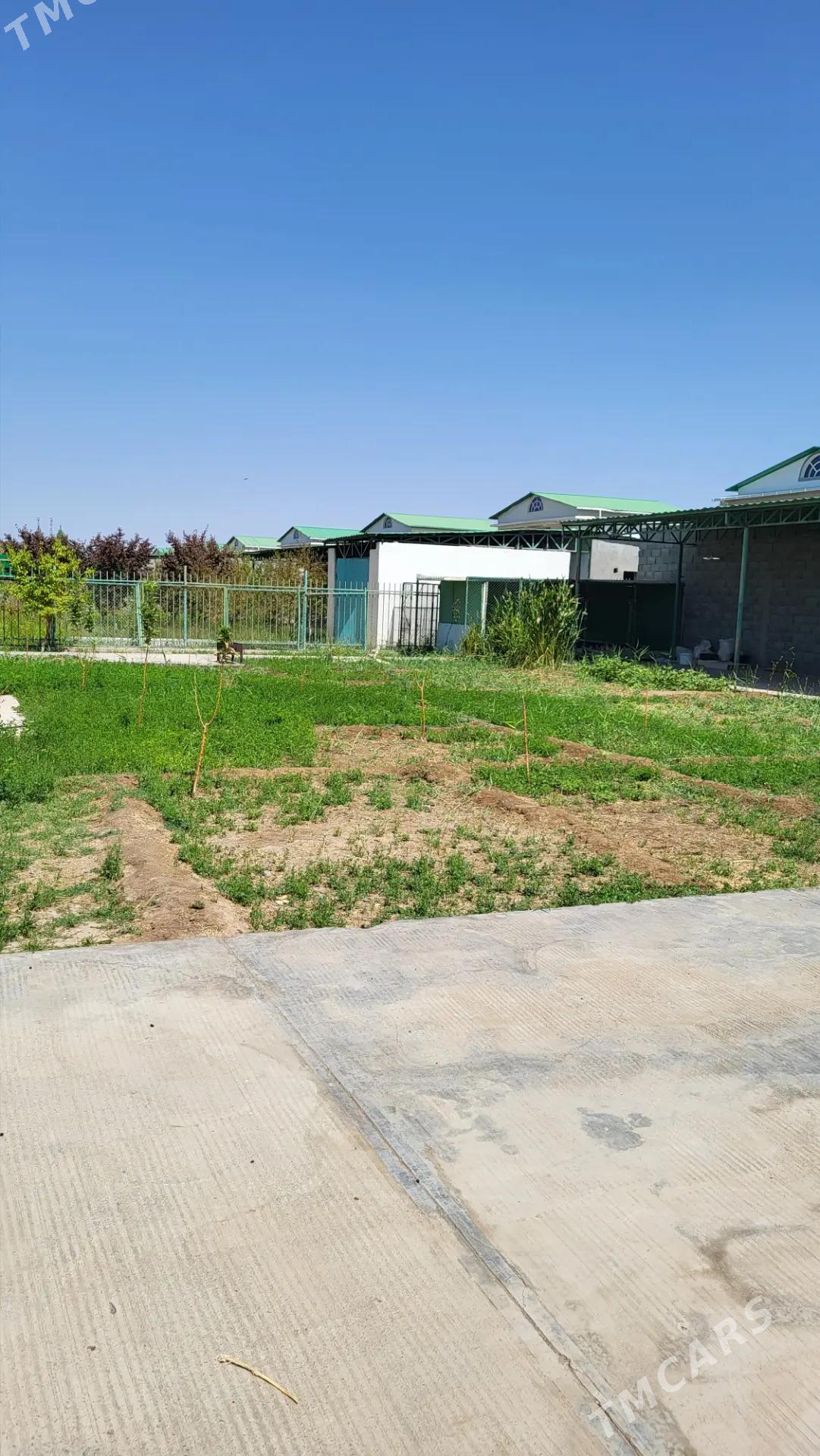 SATLYK JAÝ KOTEDJ TÄZE ZAMAN - Täze zaman - img 8