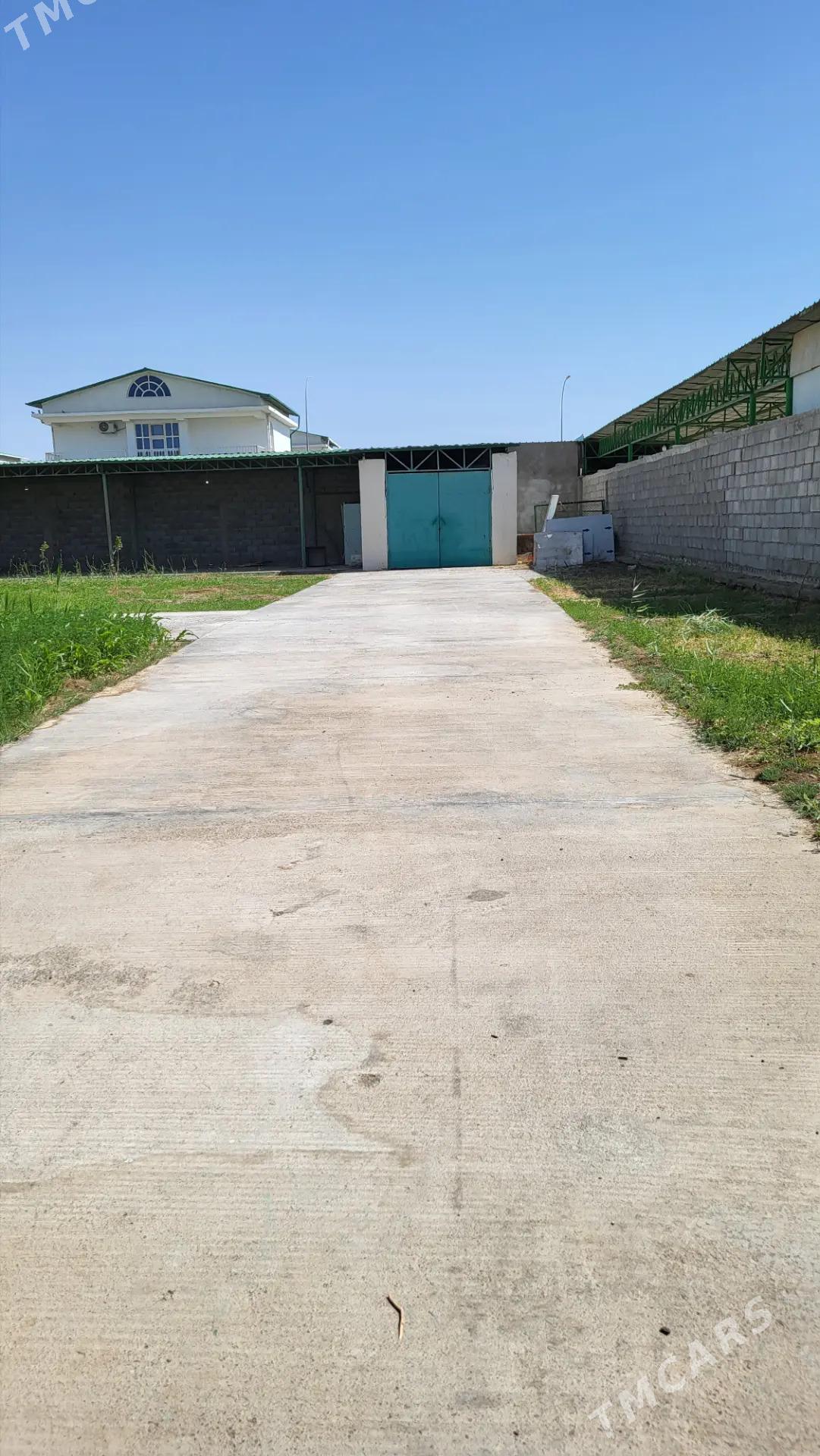 SATLYK JAÝ KOTEDJ TÄZE ZAMAN - Täze zaman - img 9