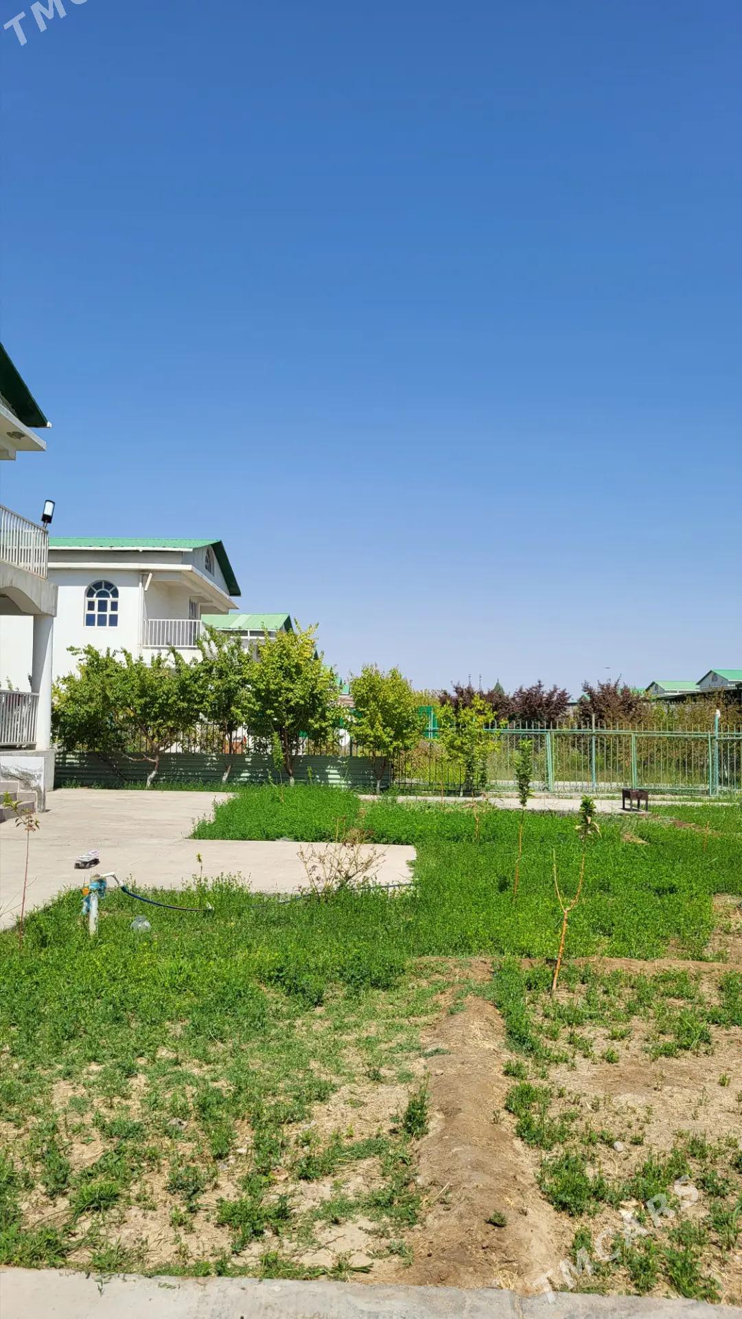 SATLYK JAÝ KOTEDJ TÄZE ZAMAN - Täze zaman - img 5