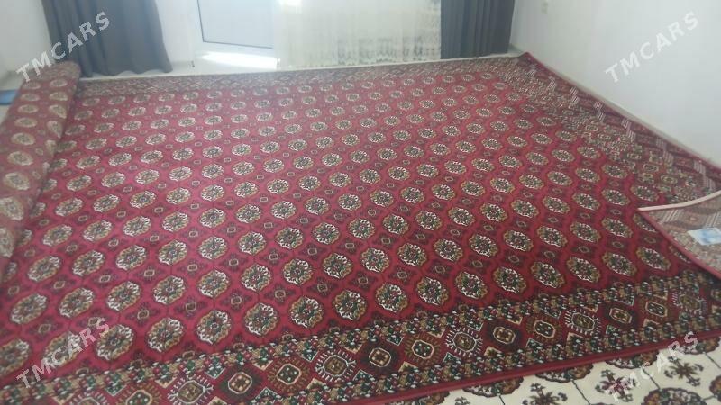 Haly - Türkmenabat - img 2