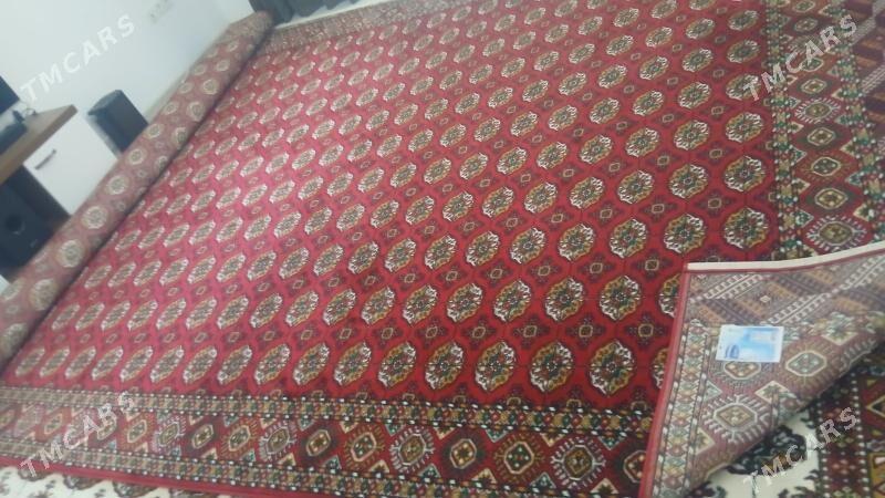 Haly - Türkmenabat - img 4