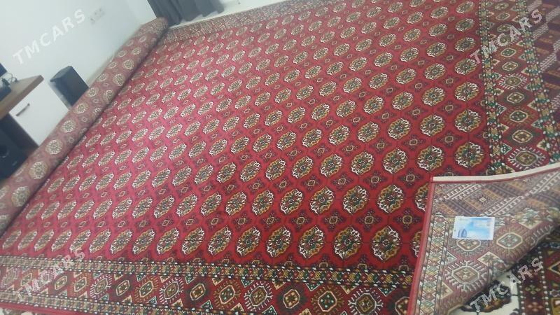 Haly - Türkmenabat - img 3