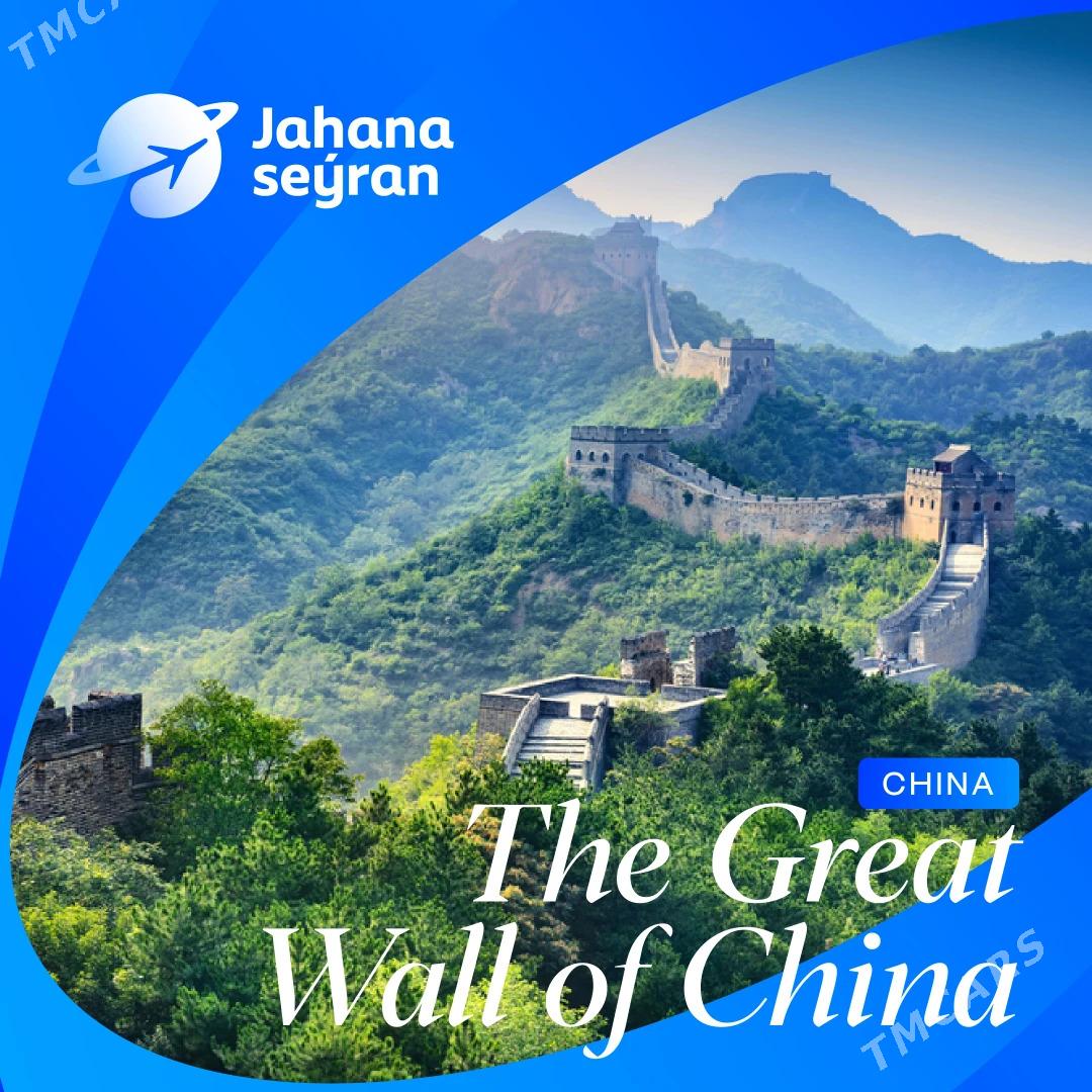 Wiza hyzmaty - Ашхабад - img 6