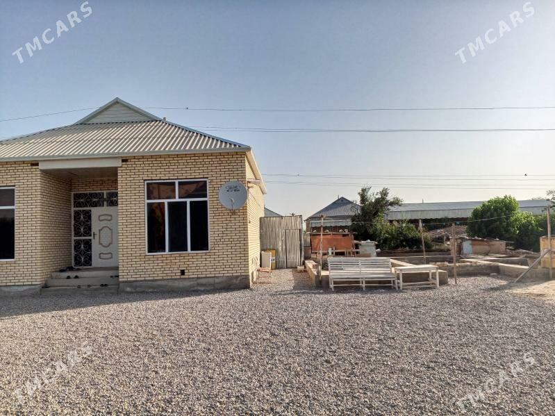 Taze Yol - Мары - img 2