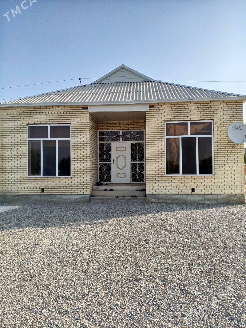 Taze Yol - Мары - img 3