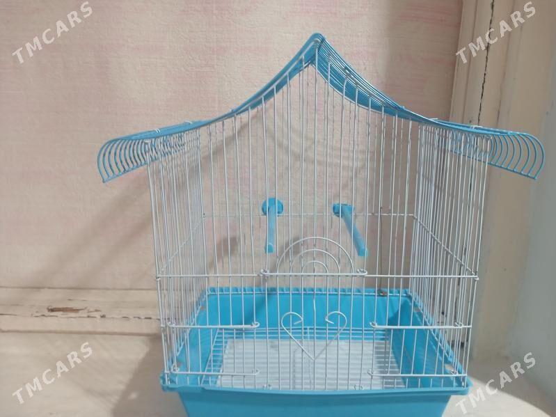 GUŠ KETEK - Saýat - img 3