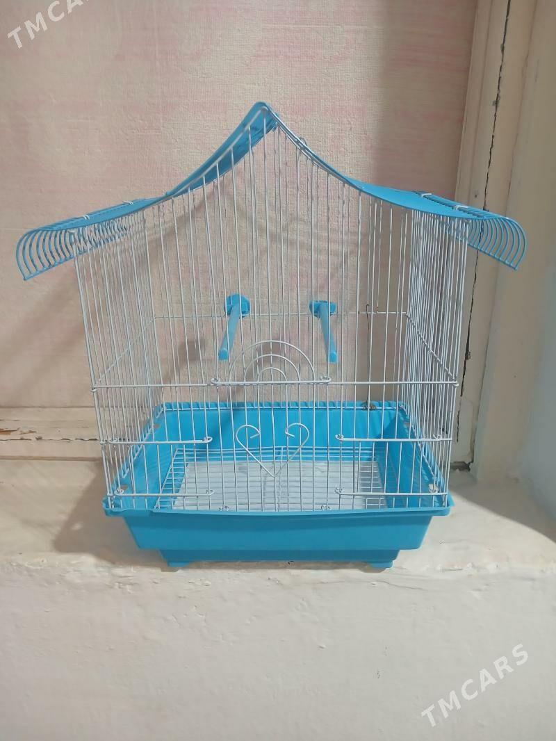 GUŠ KETEK - Saýat - img 1