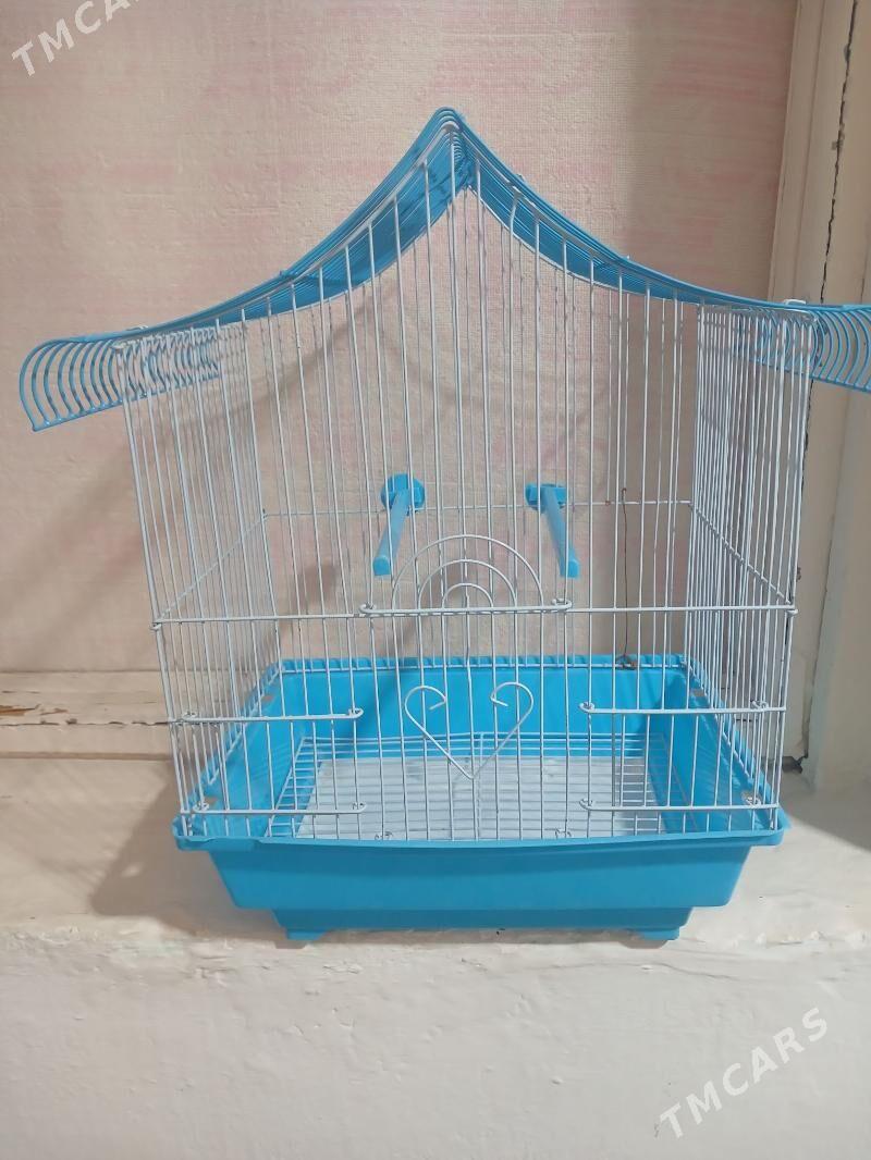 GUŠ KETEK - Saýat - img 5