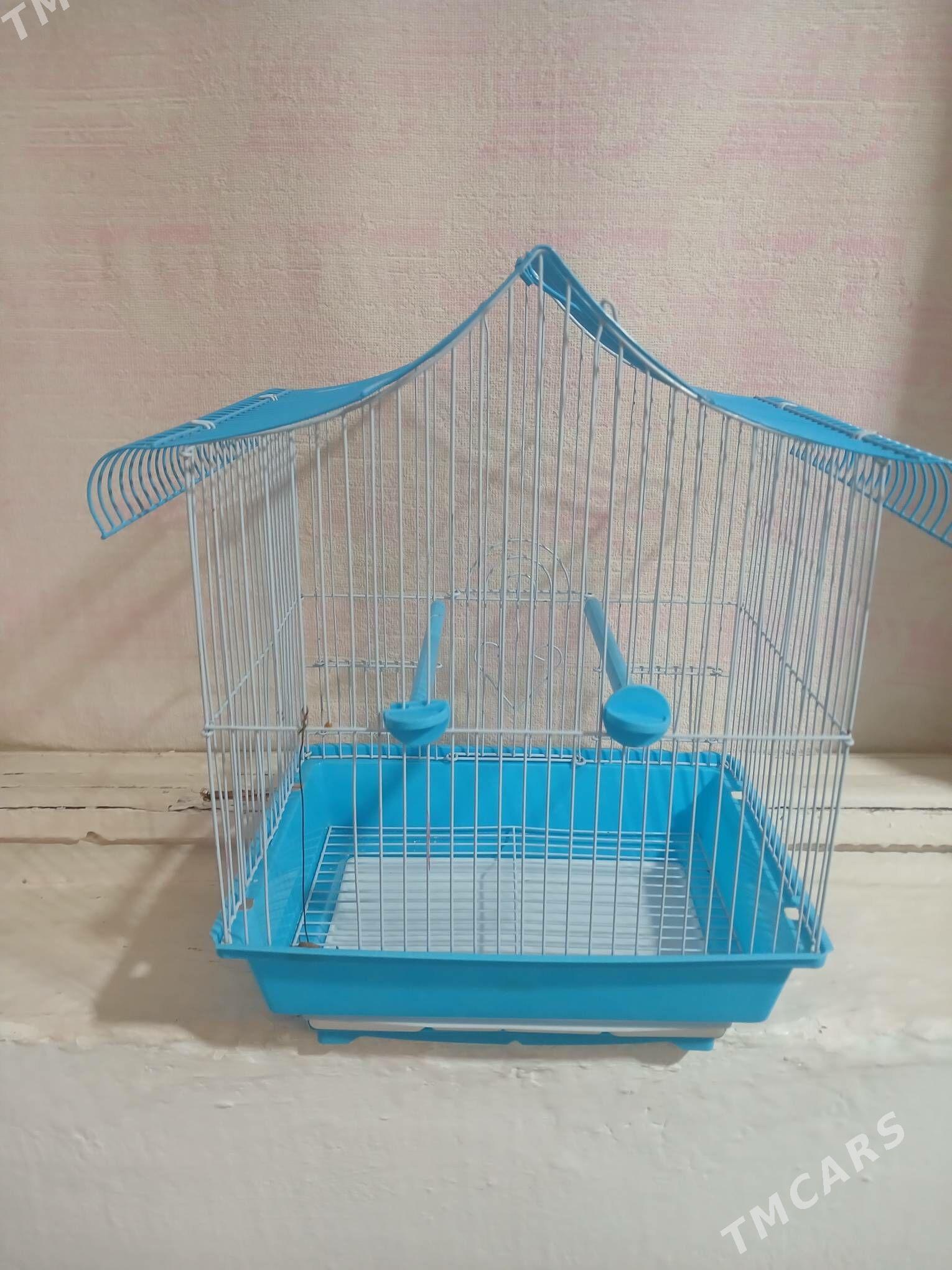 GUŠ KETEK - Saýat - img 6