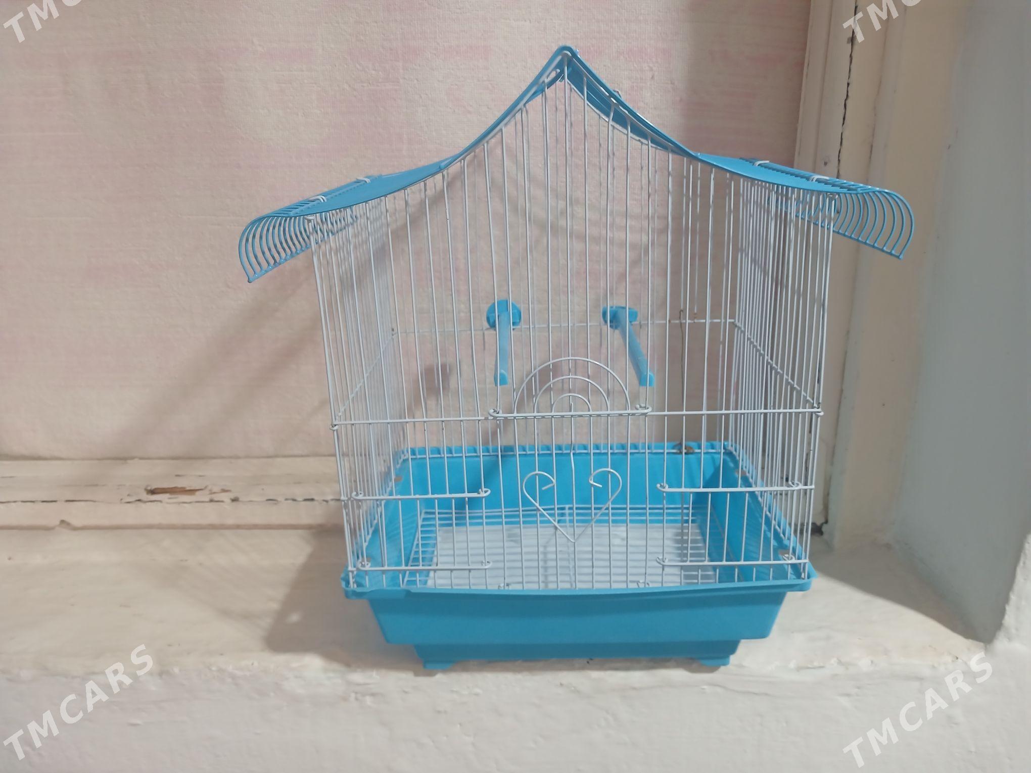 GUŠ KETEK - Saýat - img 2