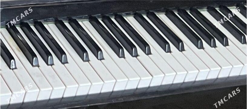 Pianina - Балканабат - img 3